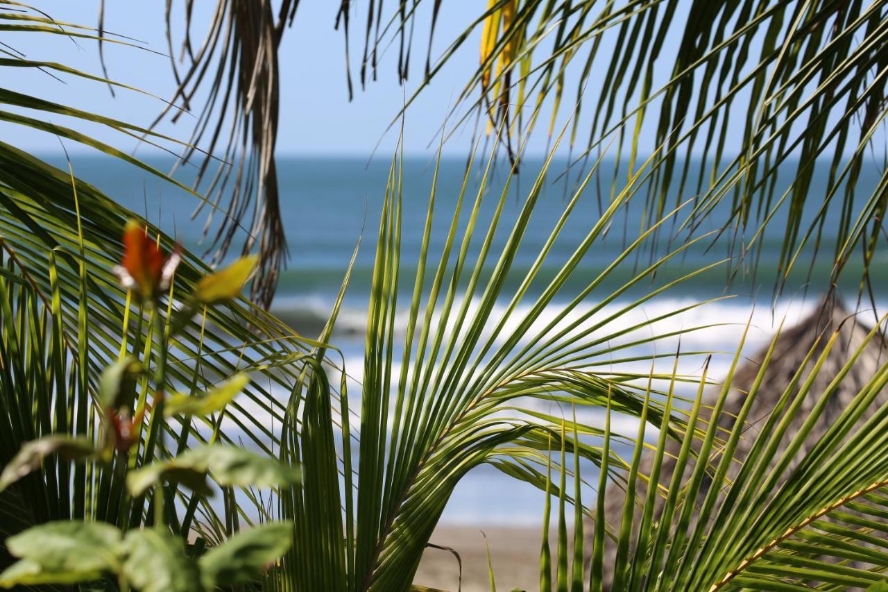 Tapas & Surf Hotel Petacaltepe Kültér fotó